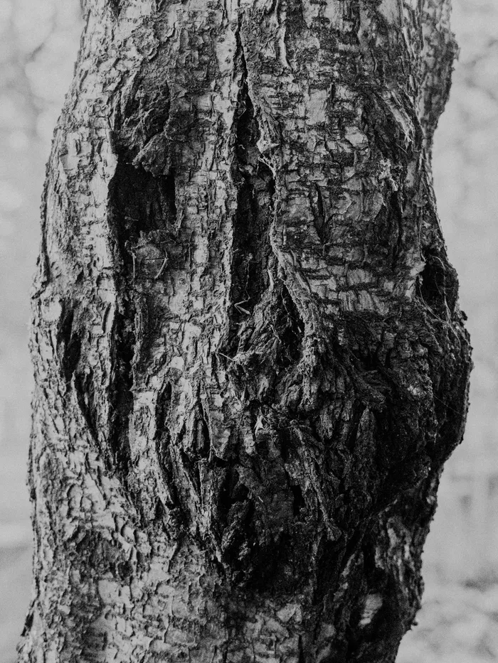 No One Ever Goes Away — image 5